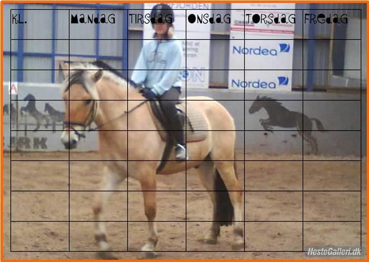 Fjordhest Baldrian<3 Solgt:/<3 billede 15