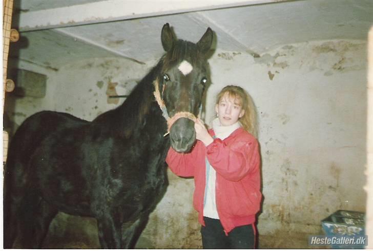 Anden særlig race Kansas Stidsbjerg R.I.P - Kansas kun 1 år gammel :) billede 8