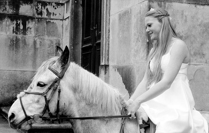 Connemara Teglstrups Samos billede 4