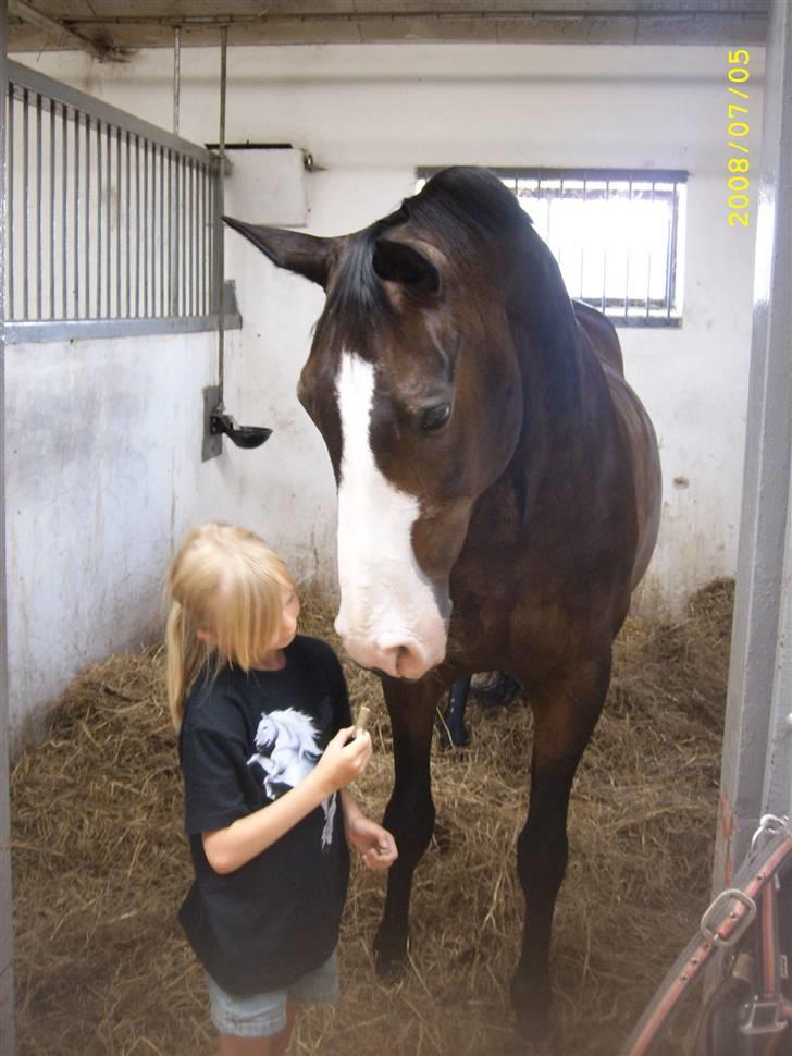 Anden særlig race Dana ( R.I.P. ) billede 16