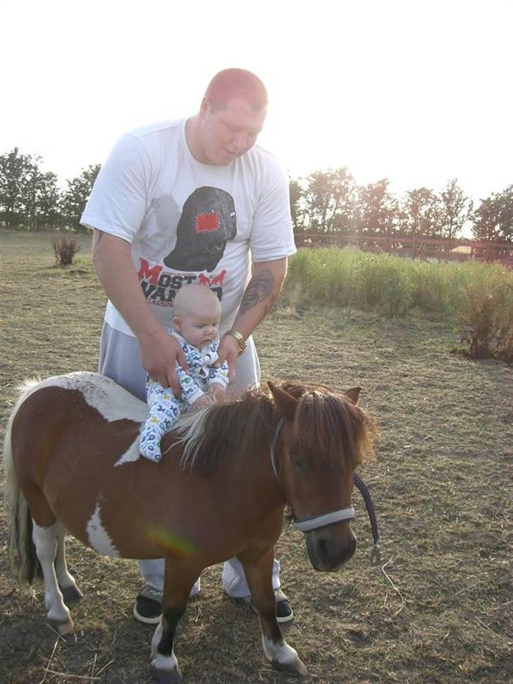 Miniature Lille Kurt  <3 >> R.I.P<< billede 2