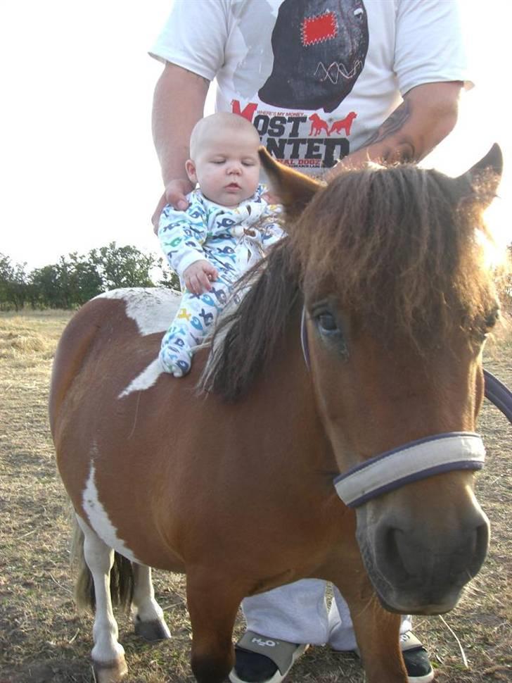 Miniature Lille Kurt  <3 >> R.I.P<< billede 3