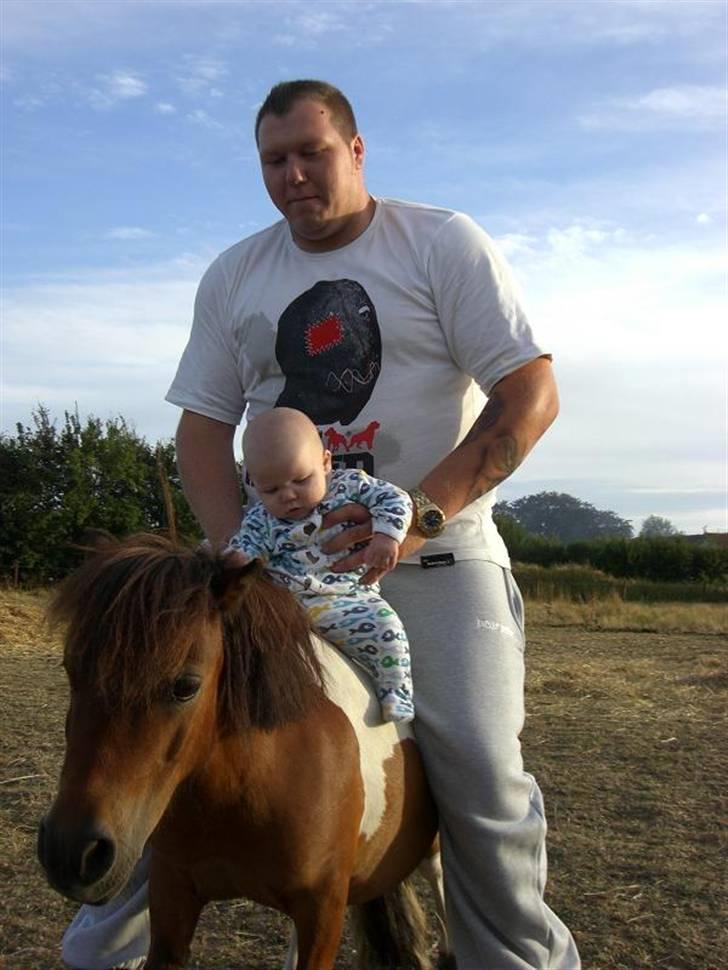 Miniature Lille Kurt  <3 >> R.I.P<< billede 6