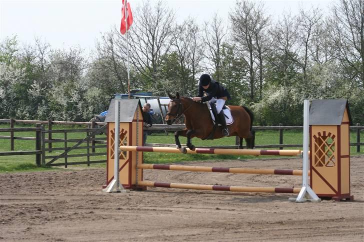 Anden særlig race Aki - # LA april 09 billede 2