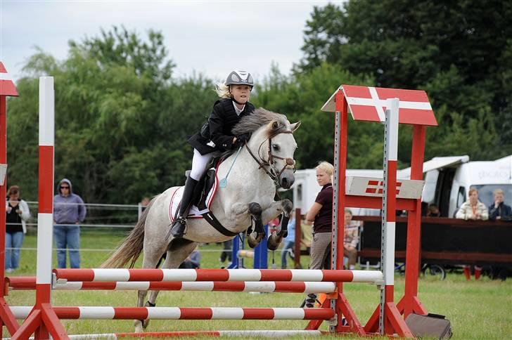 Welsh Pony (sec B) mikado - mikado og mig til ponyuge  billede 11