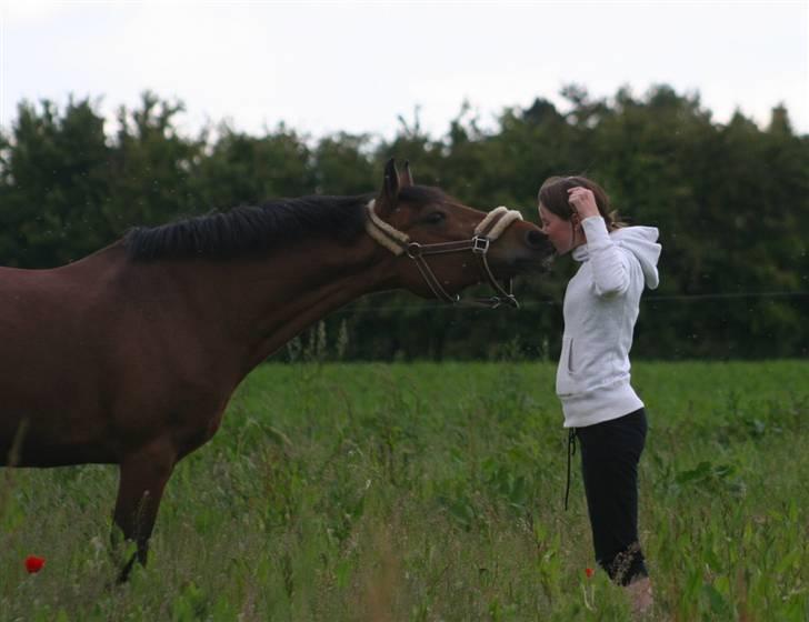 Anden særlig race Aki - # Fold marts 09 billede 4