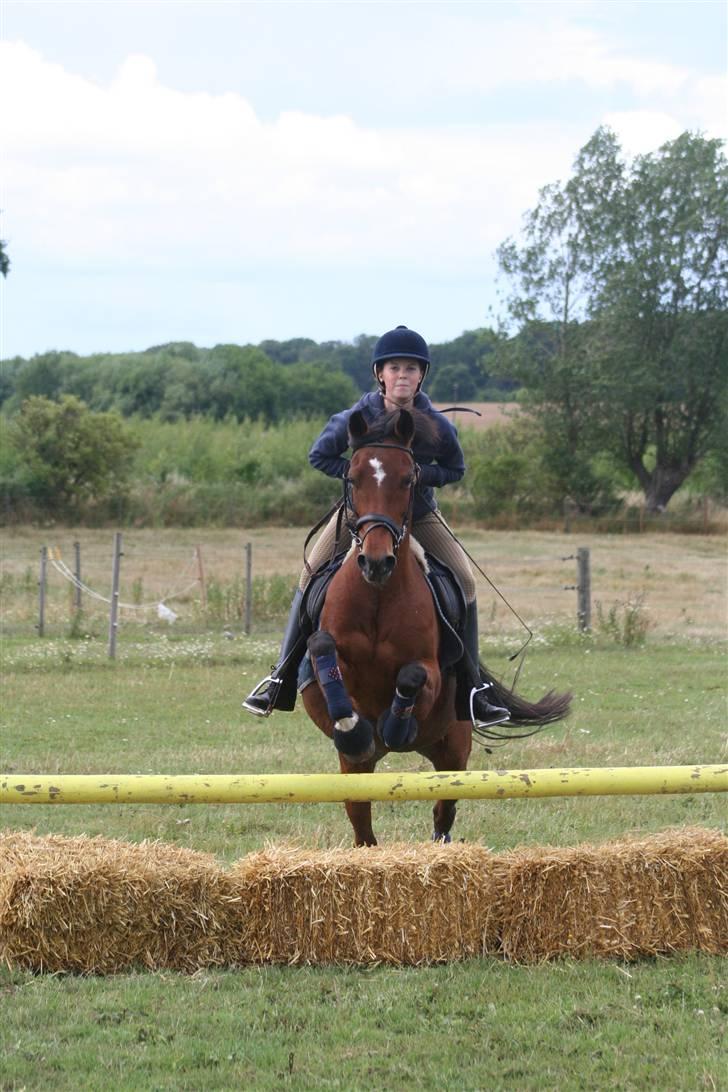 Anden særlig race Aki - # hyggespring juli 09 billede 5