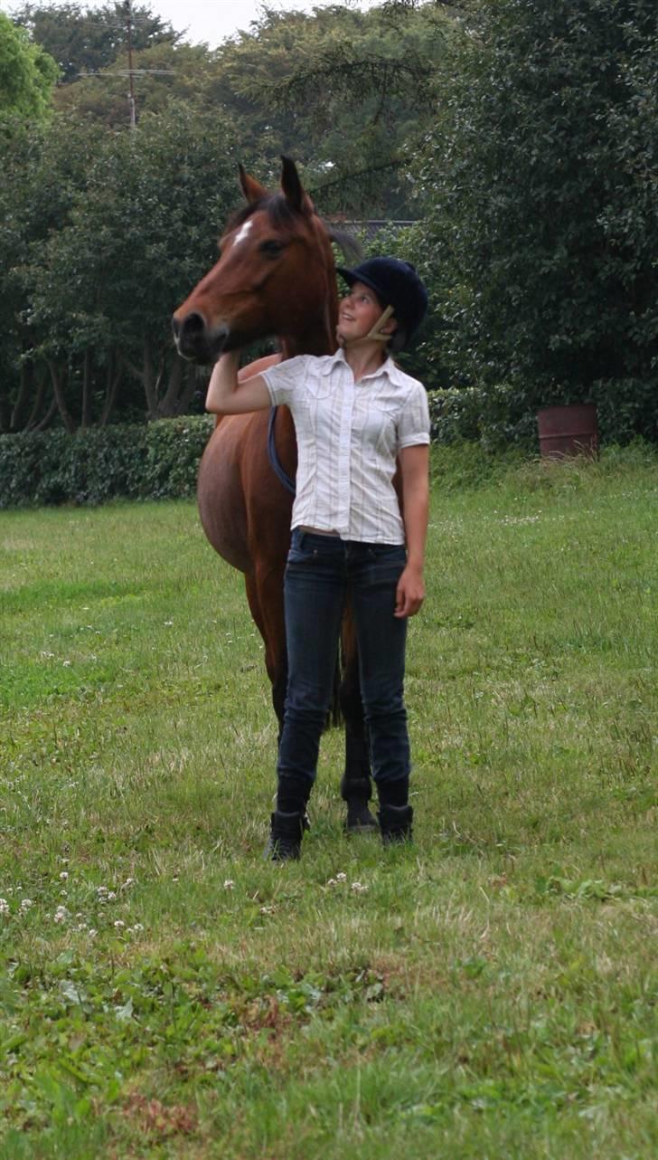 Anden særlig race Aki - # hygge juli 09 billede 6