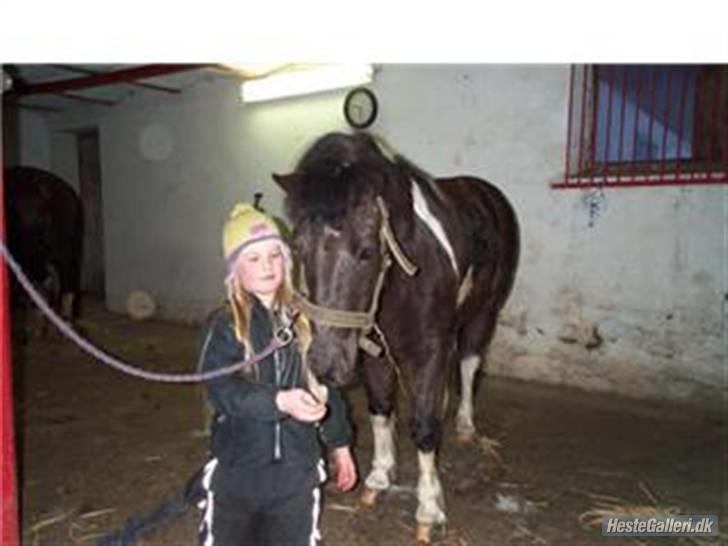 Anden særlig race kosmo R.I.P:( - i love you kosmo<333 billede 9