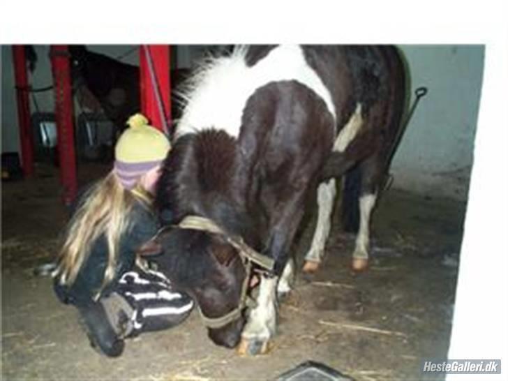 Anden særlig race kosmo R.I.P:( - se jeg kan neje sårn næsten da billede 11