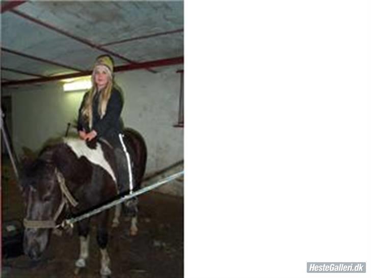 Anden særlig race kosmo R.I.P:( - mig der sidder på kosmo<333 billede 13