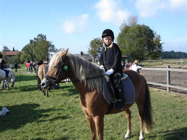 Anden særlig race KEEBE - Keebe og mig til stævne i Rideklubben Noret billede 9