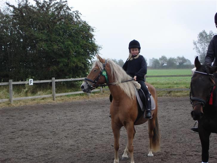 Anden særlig race KEEBE - Keebe og mig til stævne,vi fik  en 3. plads i dressur billede 10