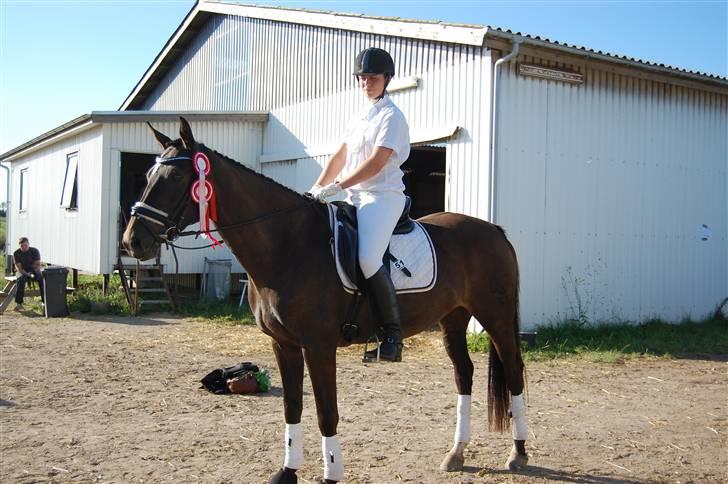 Holstener Carina II - solgt. - LB1 PULJE og vores første LA1 (69,3%!!!) Jeg elsker den hest, hun gør bare ALT for én <33 billede 10
