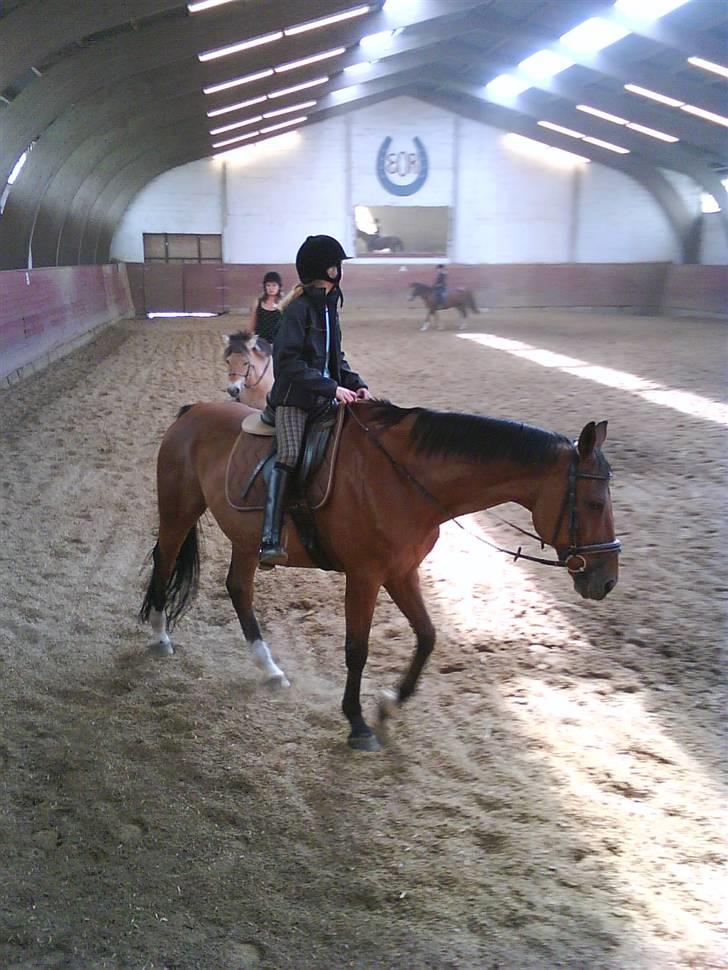 Anden særlig race Ramses Aflivet :'( - Den almægtige Ramses :D billede 9