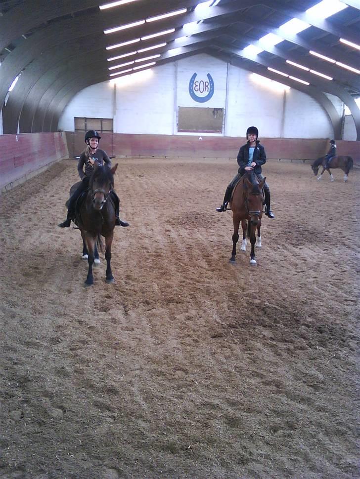 Anden særlig race Ramses Aflivet :'( - Simone på den dovne Ramses og Ida på den hurtige Svea billede 10