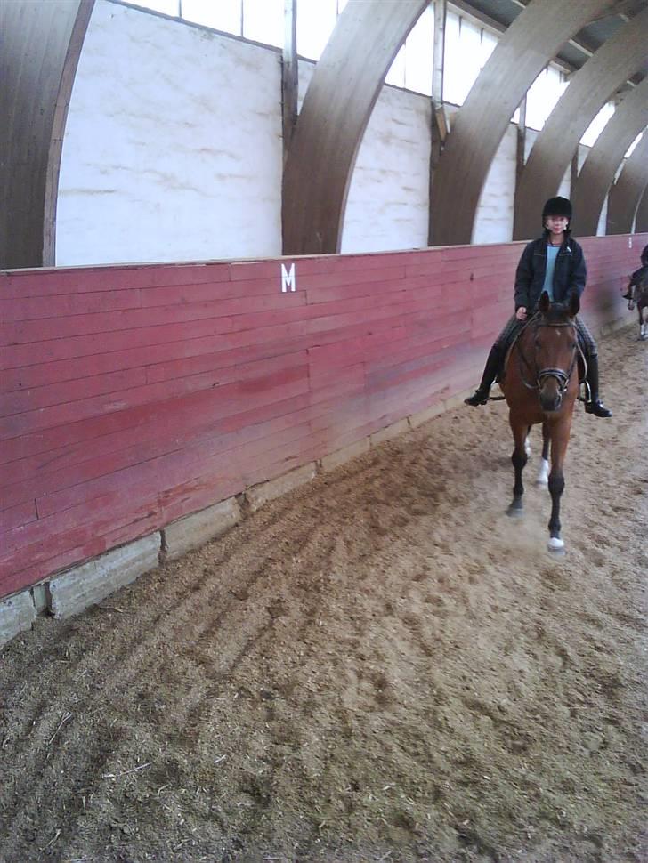 Anden særlig race Ramses Aflivet :'( - Ramses og Simone billede 11