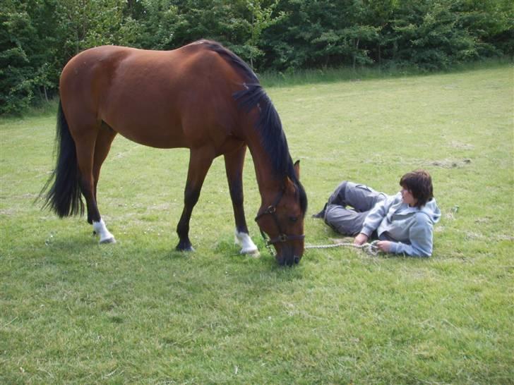 Traver Eric Cantona død :´( billede 19