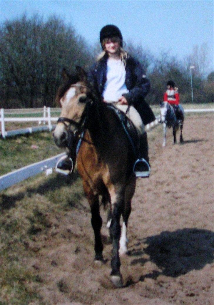 Anden særlig race Bailey Rough  - Den gang :´) ikke længere efter jeg havde fået hende billede 17