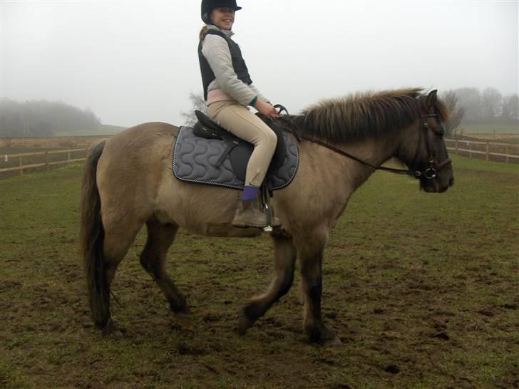 Anden særlig race apollon (solgt) - min lille nutede pollon da jeg næsten lige havde fået ham.(=08 billede 19