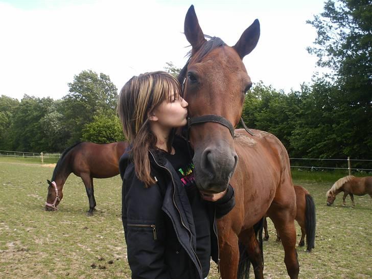 Traver Pressifon  - du betyder mere end 100000000 kys<3 billede 3