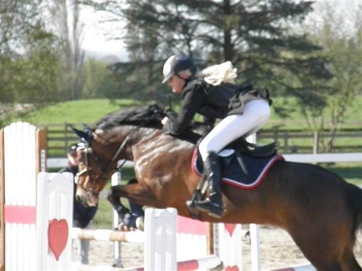 Irsk Sportspony Clover Island - 6) LA på HSK:)<333 HØJT OVER!!! FOTO: Min far billede 6