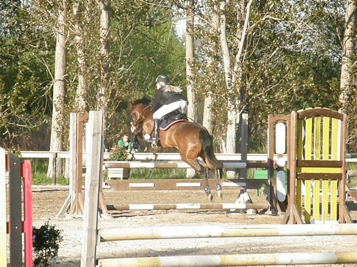 Irsk Sportspony Clover Island - 7) Distriktsmesterskab individuelt på BAR (LA) :)<333 FOTO: Min far billede 7