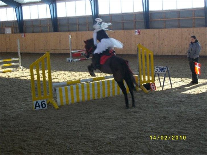 Anden særlig race Beauty - fastalavns stævne. beauty som djævel og mig som engel. billede 10