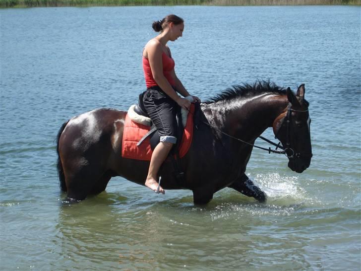 Oldenborg Kyllingegårdens Bubber - Hygge i søen i Hedeland en varm sommerdag billede 13