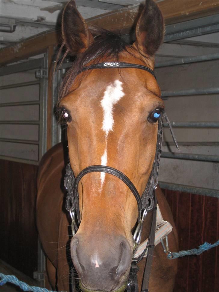 Traver Emcey billede 15