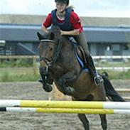 Anden særlig race Diva