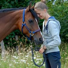 Anden særlig race Foxy Lady