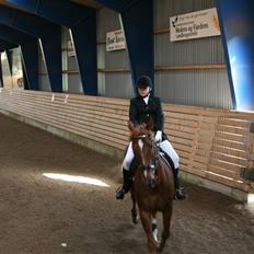 Oldenborg TICHO(passer)