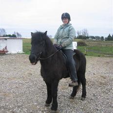 Islænder Dís fra Katulabo