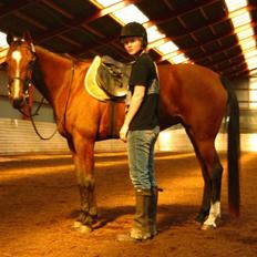 Standardbred Ifront Skalflex *RIP*