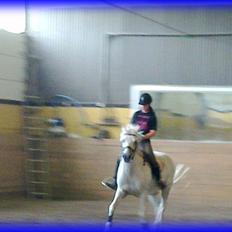 DSP STENVÆNGE SUPER STAR