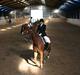 Oldenborg TICHO(passer)