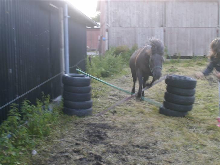 Anden særlig race Tarzan   - skønne tarzan hopper lige et lille spring;b<3 billede 2