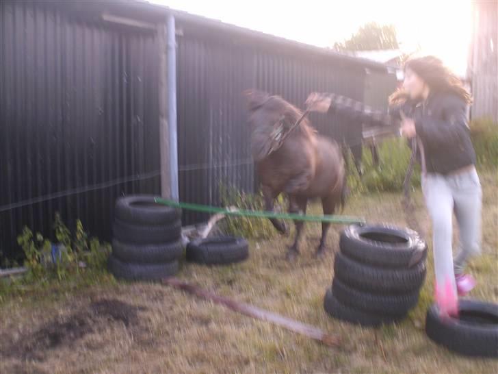 Anden særlig race Tarzan   - et hop igen;b<3 billede 6