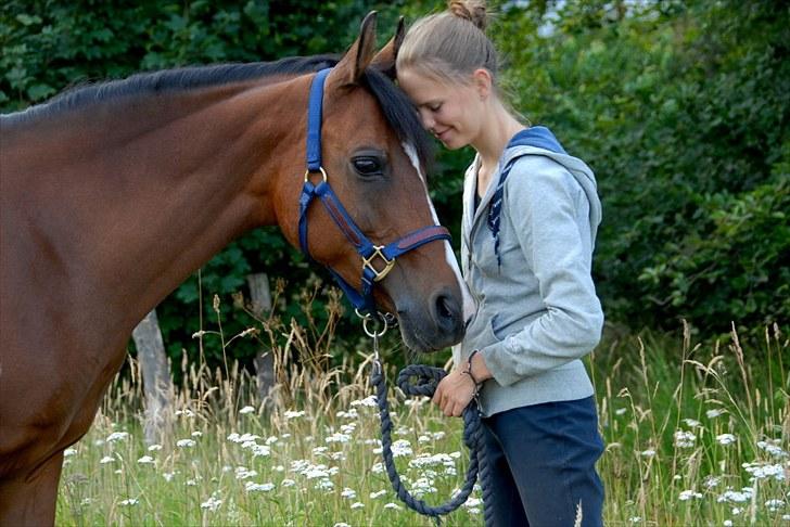 Anden særlig race Foxy Lady - for fanden foxy! jeg elsker dig.
og savner dig. hver eneste dag billede 1