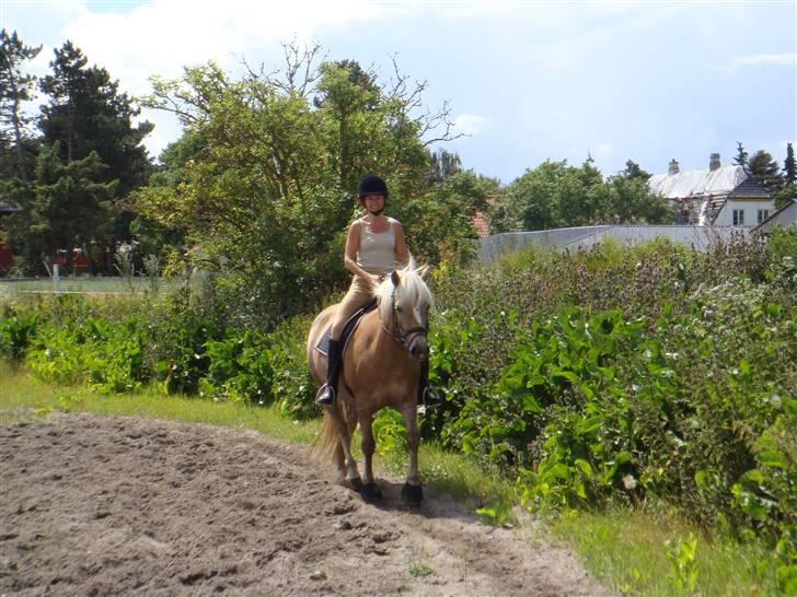 Haflinger 8930819 Ursula *R.I.P* - Mor og Usse billede 13
