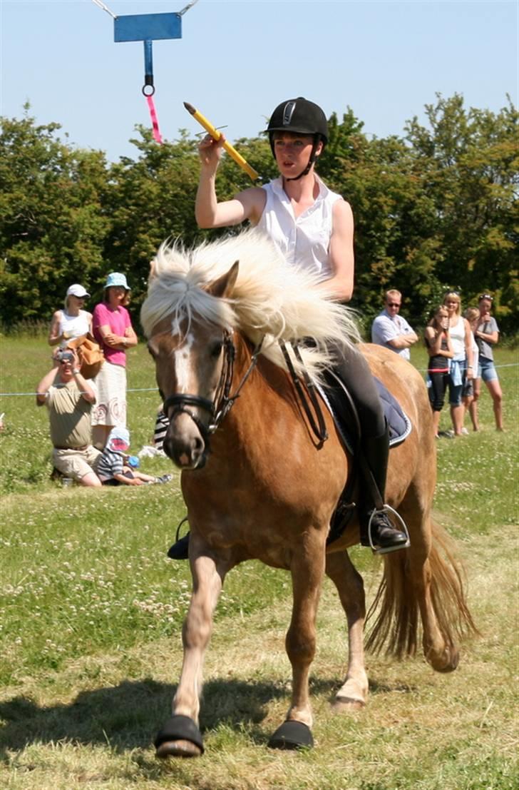 Haflinger 8930819 Ursula *R.I.P* billede 15