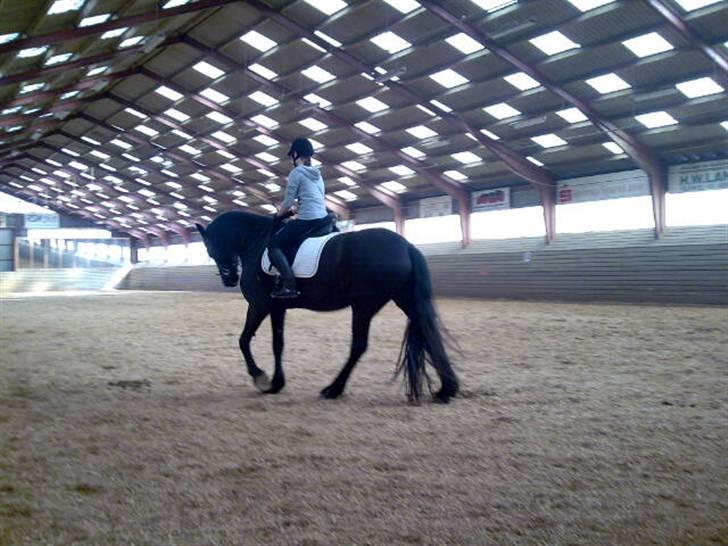 Frieser Mira of Paradise~gl halvp billede 4