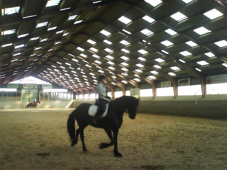 Frieser Mira of Paradise~gl halvp billede 5