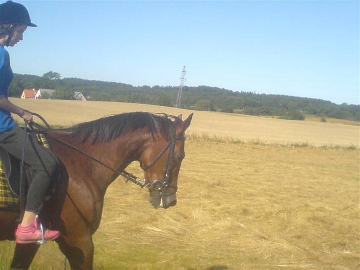 Traver Pressifon  - på tur (: det vi elsker mest;b<3 billede 11