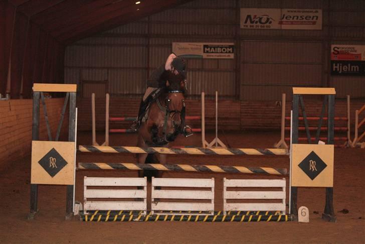 Hollandsk Sportspony Naomi - SOLGT - - Træningsaften på SKO her springer vi 110 , :D taget af SisseKallehave<3 billede 20