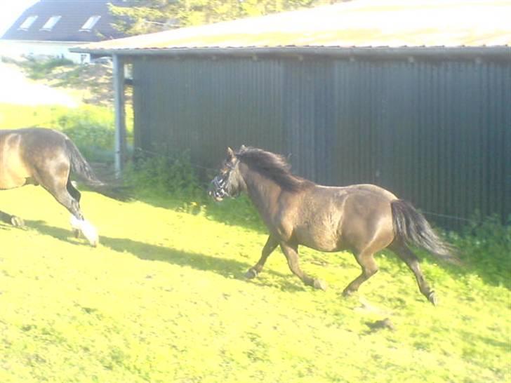 Anden særlig race Tarzan  - Tiderne med dig var de bedste. billede 18