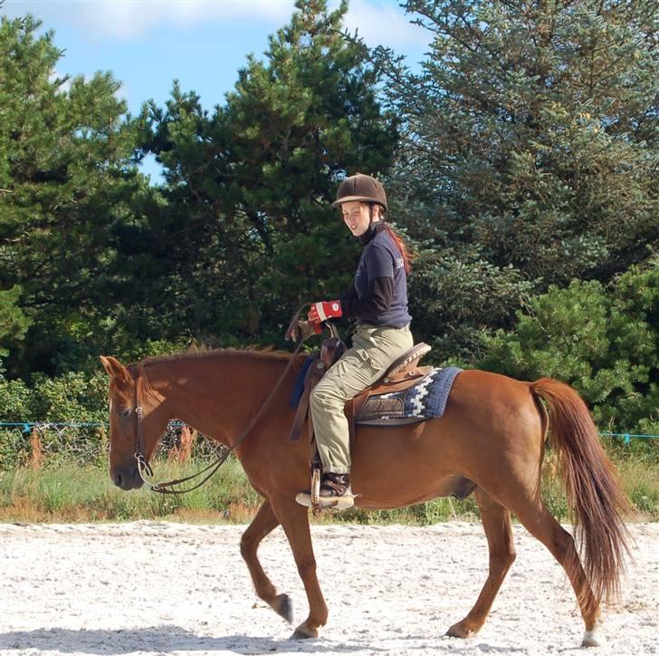 Anden særlig race Peter Pan (HIMMEL HEST) - Ridelejr 2008. Little Mule billede 8