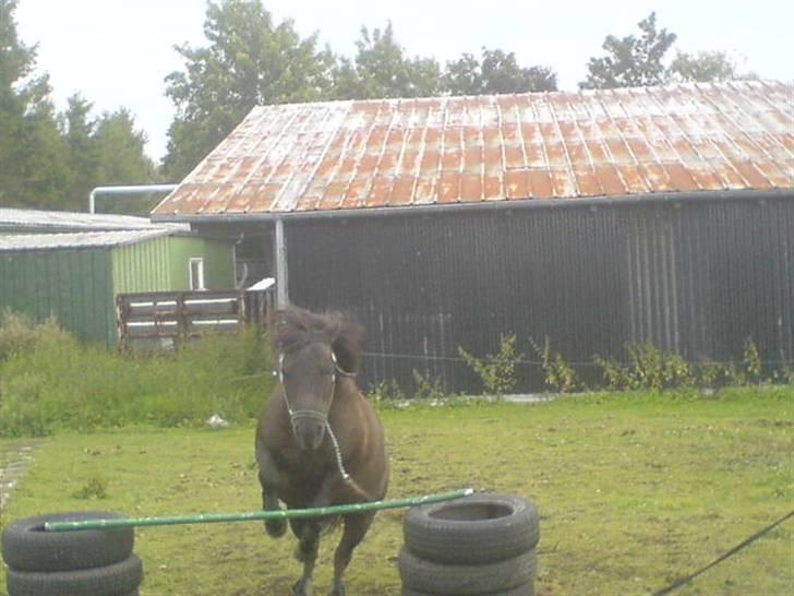 Anden særlig race Tarzan   - elsker din måde at springe på skat<3 billede 10