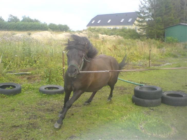 Anden særlig race Tarzan   - Uff;b din lille vildbasse<3 billede 12